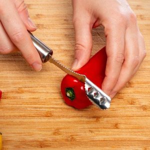 Chili Urkärnare