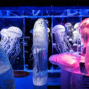 ICEBAR & Middag för två