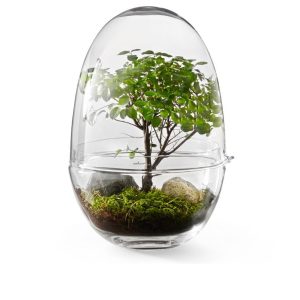 Växthus Grow Glas L